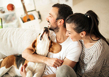 Young couple at home with dog.